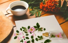Scent of roses Photos - Free Images & Free stock photos - PxHere