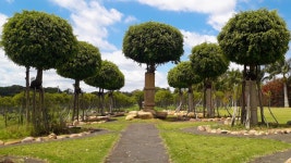 무료 이미지 : 일본어, 정원, 하늘, 구름, 식물 공동체, 식물학, 나무, 자연 경관, 초목, 잔디, 생체, 우디 식물, 종범, 관목, 상록수... 