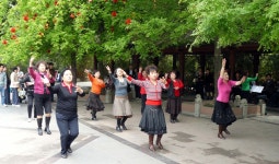 무료 이미지 : 무용수, 중국, 행사, 공연 예술, 보행자, 여가, 장난, 나무, 식물, 관광 여행, Line dance, 포크 댄스, 스포츠... 