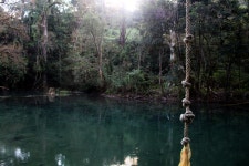 은행, 못, 주립 공원, 하천의 하천 지형, 강기슭 숲, 발 디비 안 온대 우림, 수변 지역, 경치 1920x1280 - taniaa_ac - 1458991 - 무료 이미지 - PxHere