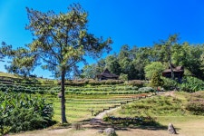 무료 이미지 : 숲, 해돋이, huai, 여행자, 무늬, 관광 여행, 휴일, huenamdang, 여름, 아름다운, 전망, 마이, 상단, 잔디, 디자인, 태국, 댕... 