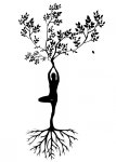 tree, gym, girl, fairy, human, pose yoga, pose of the tree... tree, gym, girl, fairy, human, pose yoga, pose of the tree, body... 