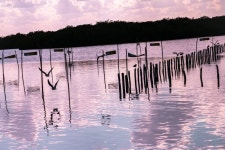 ncb08 - 무료 이미지 & 무료 이미지 - PxHere