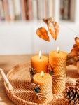 Free Images : flower, table, wax, orange, cuisine, tableware, baked goods, flame, fire, sweetness, dish, event, holiday... 