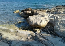 무료 이미지 : 바다, 바위, 불안정한, 스토니, 푸른, 수자원, 하늘빛, 근본적인, 목재, 물줄기, 연안 및 해양 지형, 자연 경관, 지역... 