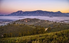 Free Images : landscape, tree, grass, horizon, wilderness, winter, cloud, sky, field, meadow, sunlight, morning, hill, dawn... 
