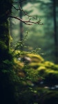 tramallal - Free Images & Free stock photos - PxHere