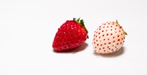 무료 이미지 : 식품, 말린 씨앗, 빨간, frutti di bosco, 식물, 액세서리 과일, 생기게 하다, 단맛, 고산 딸기, 슈퍼 푸드... 