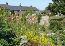 무료 이미지 : 꽃들, 꽃 피는 식물, 정원, 식물학, 이리 같은, 봄, 연간 공장, 델피 늄, 관목, 야생화, groundcover, 조경, 몽크 쉐드... 