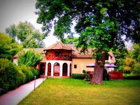 FinePix A350 - 무료 이미지 & 무료 이미지 - PxHere