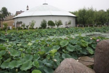 식물, 농장, 현금 작물, 식물 공동체, groundcover, 수련, 연꽃, 잎 채소, 보도, 산책로 5184x3456 - Manuel Alejandro Hung - 1595370 - 무료... 