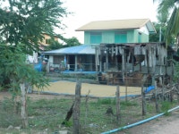 무료 이미지 : 쌀, 농장주, 시골의, 재산, 건물, 시골집, 부동산, 나무, 건축물, 의지, 경치, 여가, 마을 2272x1704 - Atdannai - 1632377... 