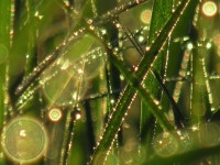 Orbs Photos - Free Images & Free stock photos - PxHere