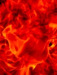 무료 이미지 : 불꽃, 화상, 뜨거운, 모닥불, 따뜻한, 불 같은, 배경, 지옥, 닫다, 주황색, 캠프 불, 타오르는, 조직, 가연성의, 에너지... 