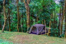 무료 이미지 : 활동, 모험, 아름다운, 캠프, camping family, 캠핑 텐트, 장비, 숲 배경, 잔디, 휴일 배경, 경치, 아침, 산, 국립 공원... 
