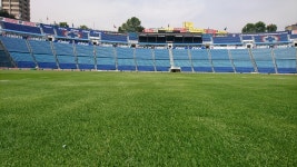 무료 이미지 : 축구장, cruz azul, 멕시코 시티, 스포츠 경기장... 들, 인조 잔디, 플레이어, 단체 경기, 잔디 가족 3840x2160 - irot27... 