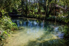 무료 이미지 : 경치, 나무, 자연, 집 밖의, 작은 만, 늪, 황야, 분기... 밖의, 작은 만, 늪, 황야, 분기, 식물, 하늘, 햇빛, 아침, 호수, 강, 휴가... 