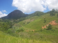 고원, 목장, 되다, 밀림, 산등성이, 야생 생물, 들, 대산 괴, 떡갈 나무, 스텝, 열대 및 아열대 침엽수 림, 관목, 온화한 넓은 잎과 혼합 숲... 