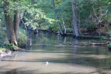 수자원, 수변 지역, 습지, 바 이유, 은행, 나무, 늪, 반사, 흐름, 못, 하천의 하천 지형, 주립 공원, 호수, 강기슭 숲, 생체, 홍수터, 물... 