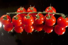 사진, 토마토, 식품, 사진술, 씨없는 열매, 단맛, 정물, Colorfulness... 사진, 토마토, 식품, 사진술, 씨없는 열매, 단맛, 정물... 