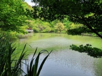 COL-AL10 - 무료 이미지 & 무료 이미지 - PxHere