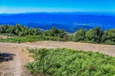 무료 이미지 : 경치, 나무, 숲, 잔디, 황야, 하늘, 도로, 꼬리, 건물, 자전거, 여름, 흙길, 밀림, 산등성이, 아름다움, 방법, 삼림지, 서식지... 