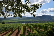 Andreas Schiebel - Free Images & Free stock photos - PxHere