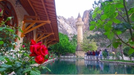 붉은 장미, 풀, 경치, 무덤, 자연, 관광 명소, 여가, 나무, 관광 여행, 식물원, 의지, 농원 4000x2250 - semtiyar - 1442657 - 무료 이미지 - PxHere