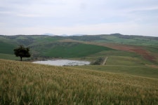 푸름 사진 - 무료 이미지 & 무료 이미지 - PxHere