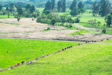무료 이미지 : 경치, 들, 목초지, 대초원, 군중, 목장, 방목, 가축, 농업, 중세, 의식, 스텝, 농촌 지역, 자연 보호 구역, 비전의, 돌... 