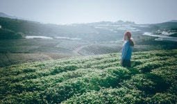 무료 이미지 : 초상화, 경치, 소년, 자연스러운, 태양, 햇빛, 들, 목초지, 하늘, 농업, 수확고, 언덕 역, 농촌 지역, 고지, 산, 농장, 농원... 