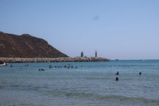 무료 이미지 : 바닷가, 경치, 바다, 연안, 새, 화이트, 육지, 동물, 해조, 갈매기, 해안, 야생 생물, 부리, 날개, 웃긴 얼굴, 풍차 비슷한 것... 