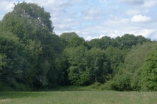 Drevan - 무료 이미지 & 무료 이미지 - PxHere