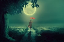 무료 이미지 : 나무, 달, 흙길, 수도사, 우산, 월광, 소년, 통로, 잔디, 경치, 빛, 신비주의의, 동화, 안개, 기분 나쁜, 밤, 분위기, 맨발... 