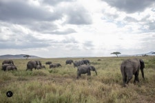 수색 최근 - 무료 이미지 & 무료 이미지 - PxHere - 4