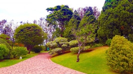 무료 이미지 : 일본어, 정원, 하늘, 자연 경관, 나무, 노면, 우디... 통로, 꽃 피는 식물, 공원, 거리 4128x2322 - Mmaggno01 - 1670302 - 무료... 