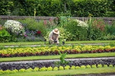 무료 이미지 : 잔디, 농장, 녹색, 뒤뜰, 흙, 농업, 온실, 야채... 잔디, 농장, 녹색, 뒤뜰, 흙, 농업, 온실, 야채, 마당, 정원사, 채소밭... 