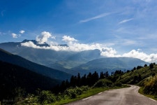 Ast 사진 - 무료 이미지 & 무료 이미지 - PxHere