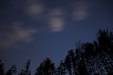 무료 이미지 : 하늘, 녹색, 대기 현상, 분위기, 별, 구름, 천체, 공간, 숲, 경치, 어둠, 천문학, 오로라, 식물, 한밤중, 소나무 가족, 겨울... 