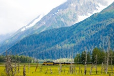 무료 이미지 : 경치, 나무, 황야, 목초지, 호수, 골짜기, 목장, 산등성이, 알프스 산맥, 고원, 되다, 생태계, 자연 환 경, 지리적 특징... 