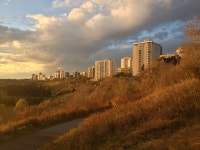 Free Images : landscape, tree, nature, grass, horizon, cloud, sky, sunrise, sunset, skyline, sunlight, morning, hill, dawn, city... 