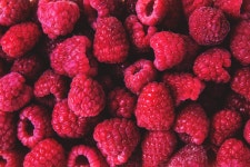 베리, 슈퍼 푸드, 로간 베리, 씨없는 열매, 식물, Superfruit, 보... 덤불, 고산 딸기, 뽕나무 가족, 듀 베리 4000x2666 - - 1619820 - 무료... 