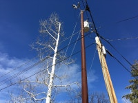 4032x3024 - - 434008 - Free stock photos - PxHere Free Images... power line 4032x3024 -  - 434008 - Free stock photos - PxHere