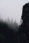 Trident Photos - Free Images & Free stock photos - PxHere