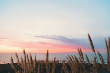 무료 이미지 : 바닷가, 바다, 연안, 수평선, 구름, 하늘, 해돋이, 일몰, 들, 대초원, 햇빛, 아침, 바람, 새벽, 황혼, 저녁, 농업, 잔광, 대기... 