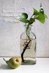 6016x4016 - - 839005 - Free stock photos - PxHere Free Images... bodegones 6016x4016 -  - 839005 - Free stock photos - PxHere