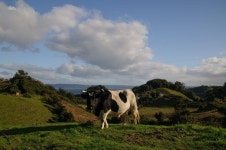 산맥, 목장, 니콘, 고지, 칠레, 고원, 서식지, 생태계, d300, 칠보, 농촌 지역, 지리적 특징, 산악 지형 4288x2848 - - 475409 - 무료 이미지... 