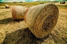 Free Images : landscape, nature, plant, sky, wood, hay, field, farm, wheat, harvest, crop, agriculture, straw, fodder, campaign... 