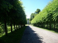 무료 이미지 : 나무, 자연, 잔디, 도로, 햇빛, 잎, 꽃, 산책, 녹색, 가을, 공원, 식물학, 정원, 수로, 수단, 관목, 삼림지, 떨어져, 농촌... 