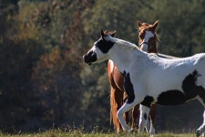 모은 사진 - 무료 이미지 & 무료 이미지 - PxHere